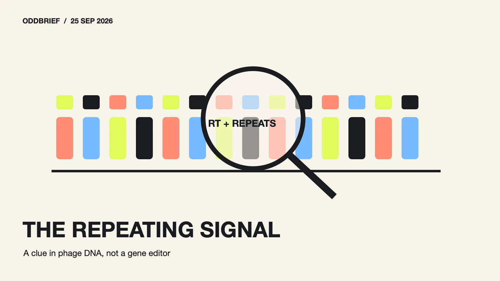 Repeated DNA bars beside a simplified enzyme shape under a magnifying glass.