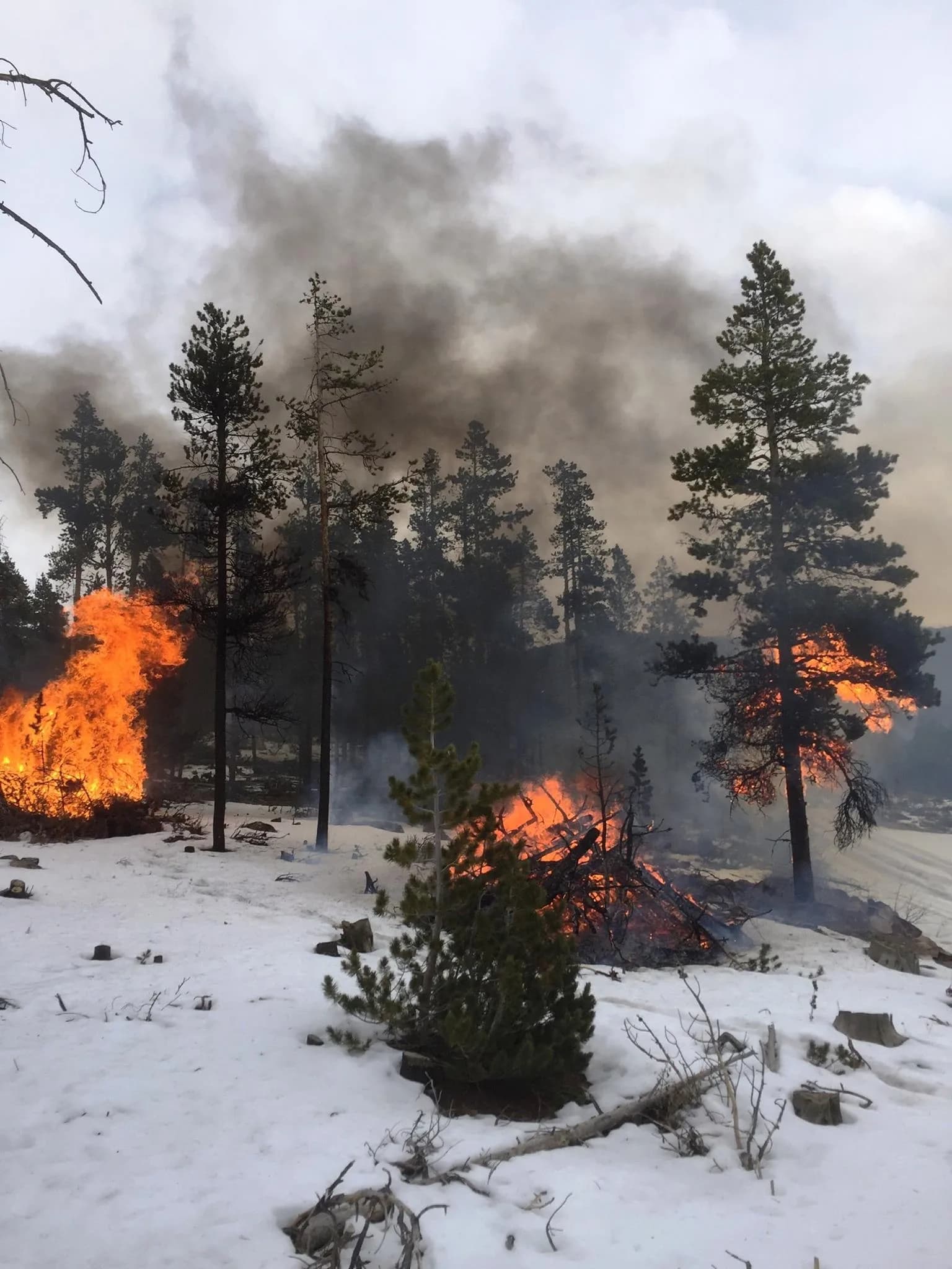A prescribed burn in Shoshone National Forest, Wyoming, in November 2017