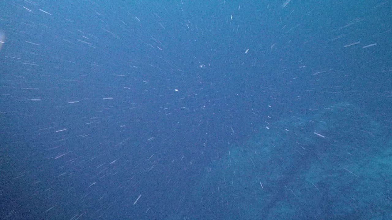 White particles of marine snow drifting through dark deep ocean water