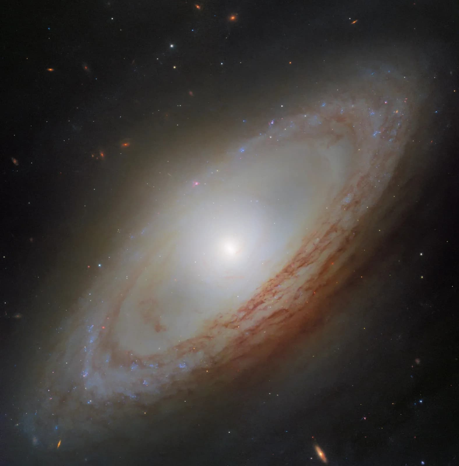 Hubble image of the spiral galaxy NGC 4694 with an out-of-sync central rotation